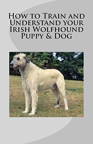 Cover for How to Train and Understand your Irish Wolfhound Puppy & Dog