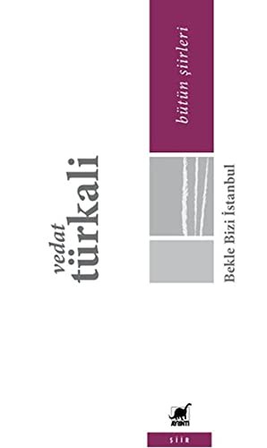 Cover for Bekle Bizi Istanbul