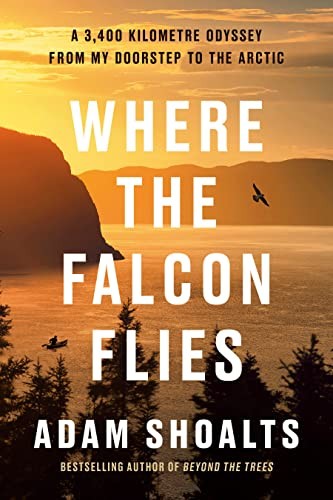 Cover for Where the Falcon Flies