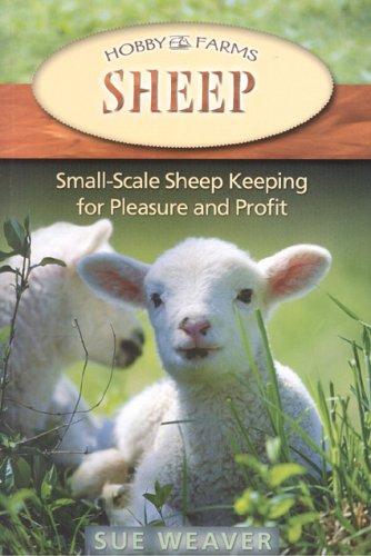 Cover for Sheep