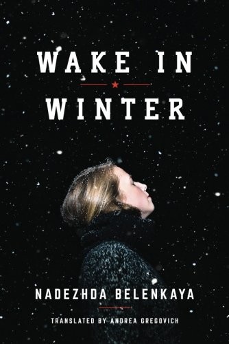 Cover for Wake in Winter