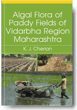 Cover for Changing perspectives of anthropology in India