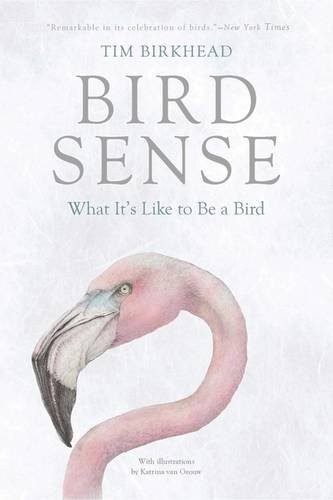 Cover for Bird Sense