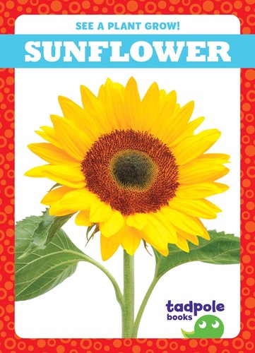 Cover for Sunflower