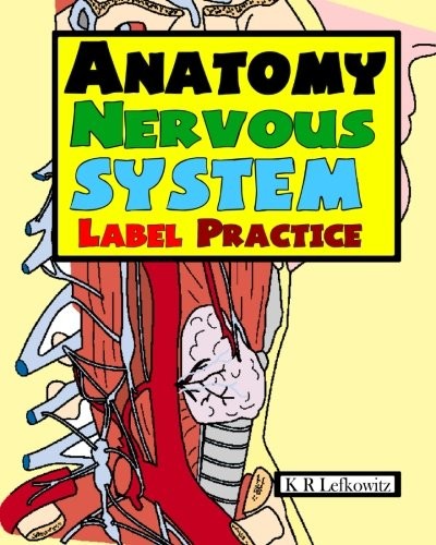 Cover for Anatomy Nervous System Label Practice
