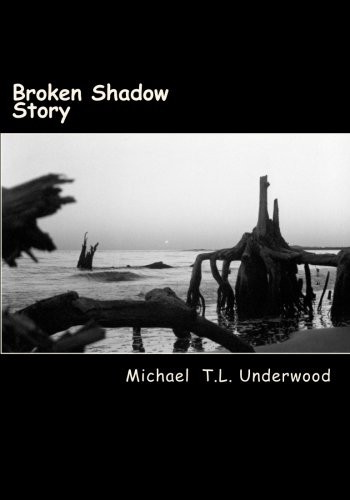 Cover for Broken Shadow