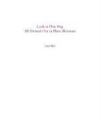 Cover for Look at That Dog All Dressed Out in Plum Blossoms