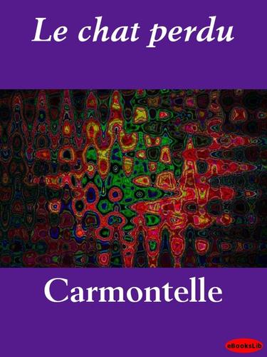 Cover for Le chat perdu
