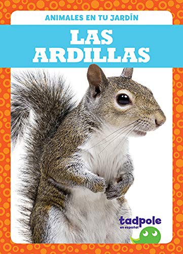 Cover for Las ardillas