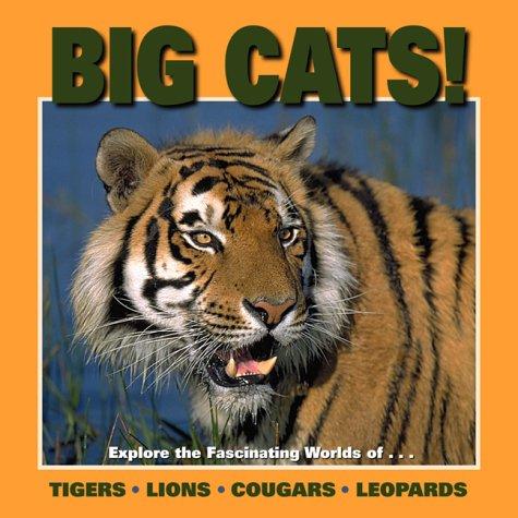 Cover for Big Cats! (Our Wild World)