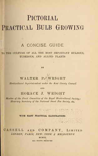 Cover for Pictorial practical bulb growing
