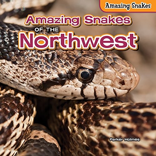 Cover for Amazing Snakes of the Northwest