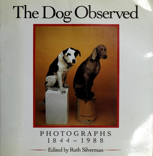 Cover for The dog observed