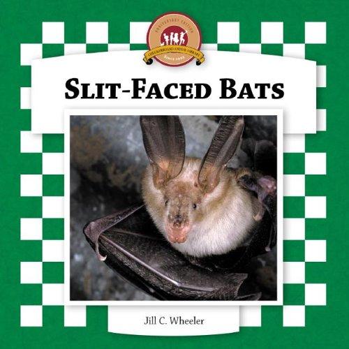 Cover for Slit-Faced Bats (Bats Set II)