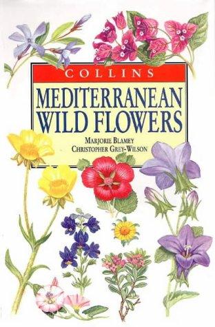Cover for Mediterranean Wild Flowers