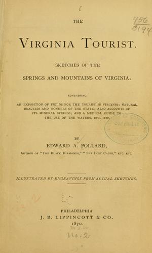 Cover for The Virginia tourist