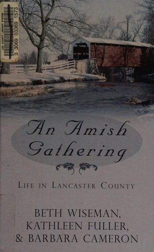 Cover for An Amish gathering