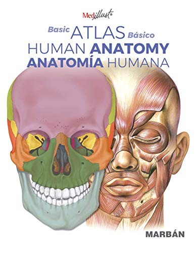 Cover for Atlas Básico de Anatomía Humana - Basic Atlas Of Human Anatomy
