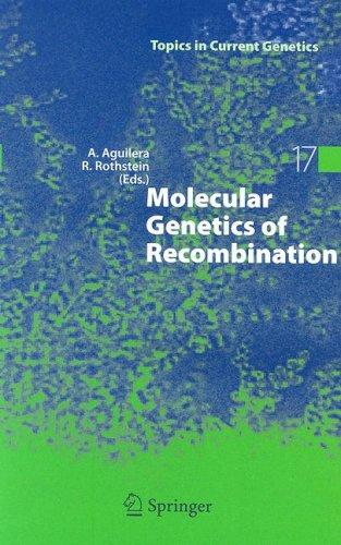 Cover for Molecular Genetics of Recombination (Topics in Current Genetics)