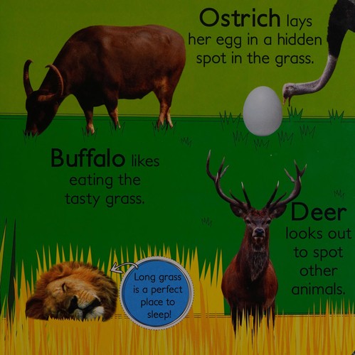Cover for Wild animals