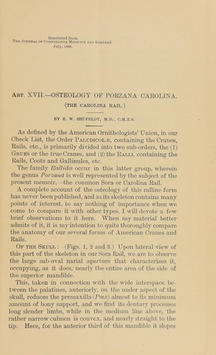 Cover for Osteology of Porzana carolina (the Carolina rail)
