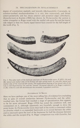 Cover for Development, Function and Evolution of Teeth