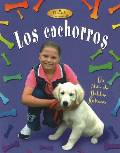 Cover for Los cachorros / written by Rebecca Sjonger and Bobbie Kalman.