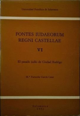 Cover for Fontes iudaeorum regni castellae VI