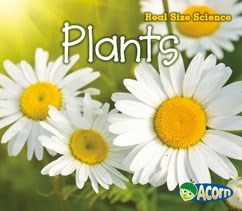 Cover for Plants