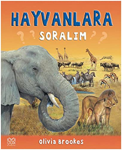 Cover for Hayvanlara Soralim