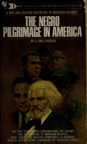 Cover for The Negro pilgrimage in America