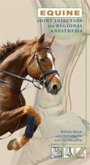 Cover for Equine Joint Injection and Regional Anesthesia