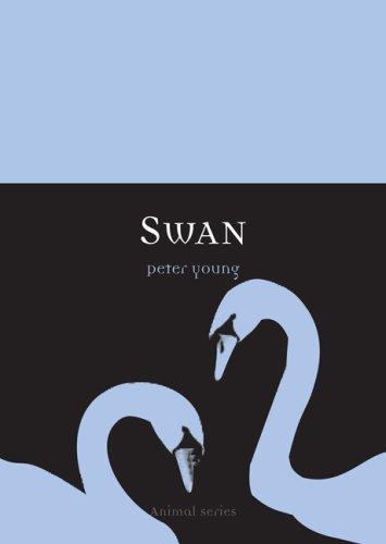 Cover for Swan (Reaktion Books - Animal)