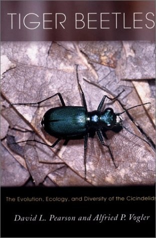 Cover for Tiger beetles