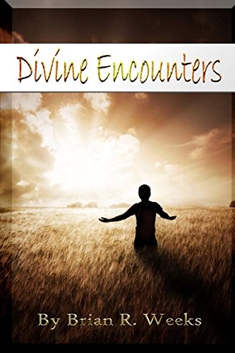 Cover for Divine Encounters