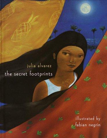 Cover for The secret footprints