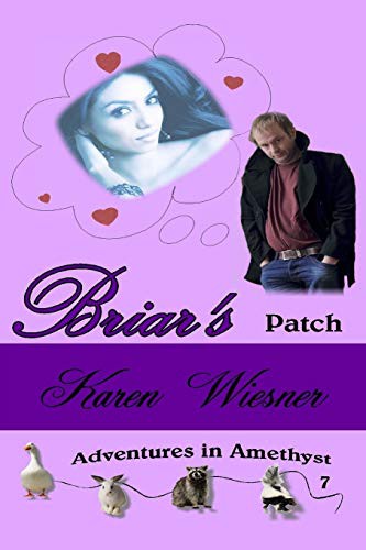 Cover for Briar's Patch, Book 7, An Adventures in Amethyst Series Novel