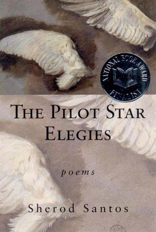 Cover for The Pilot Star Elegies
