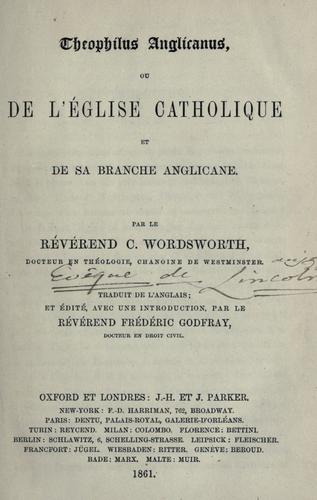 Cover for Theophilus anglicanus