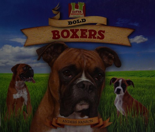 Cover for Bold boxers