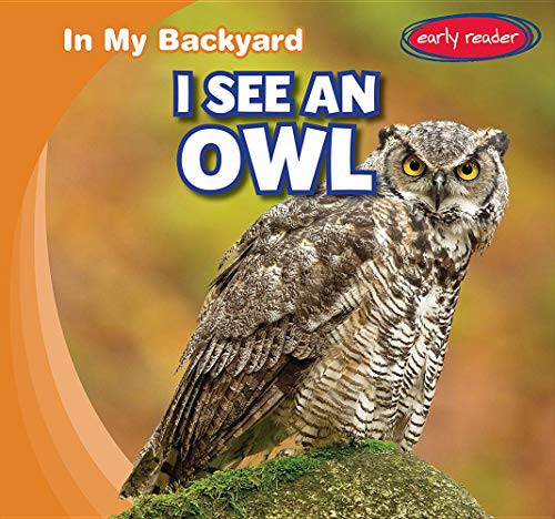 Cover for I See an Owl