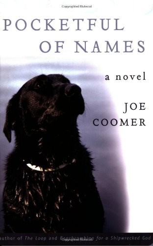 Cover for Pocketful of Names