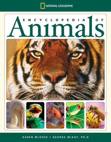 Cover for National Geographic Encyclopedia of Animals