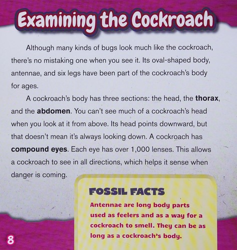Cover for Cockroaches