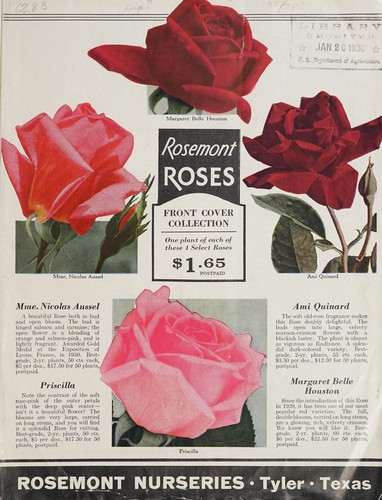 Cover for Rosemont roses