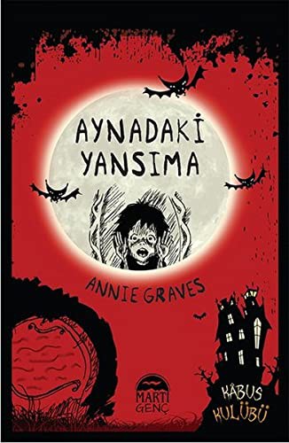 Cover for Aynadaki Yansima