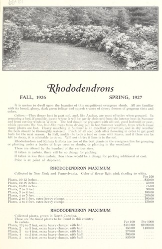 Cover for Rhododendrons