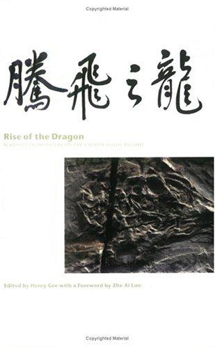 Cover for Rise of the Dragon