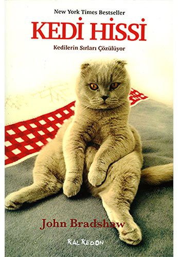 Cover for Kedi Hissi