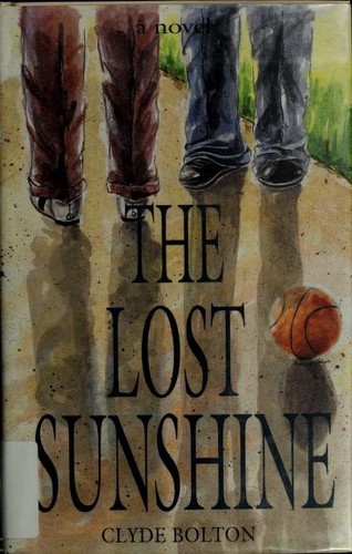 Cover for The lost sunshine